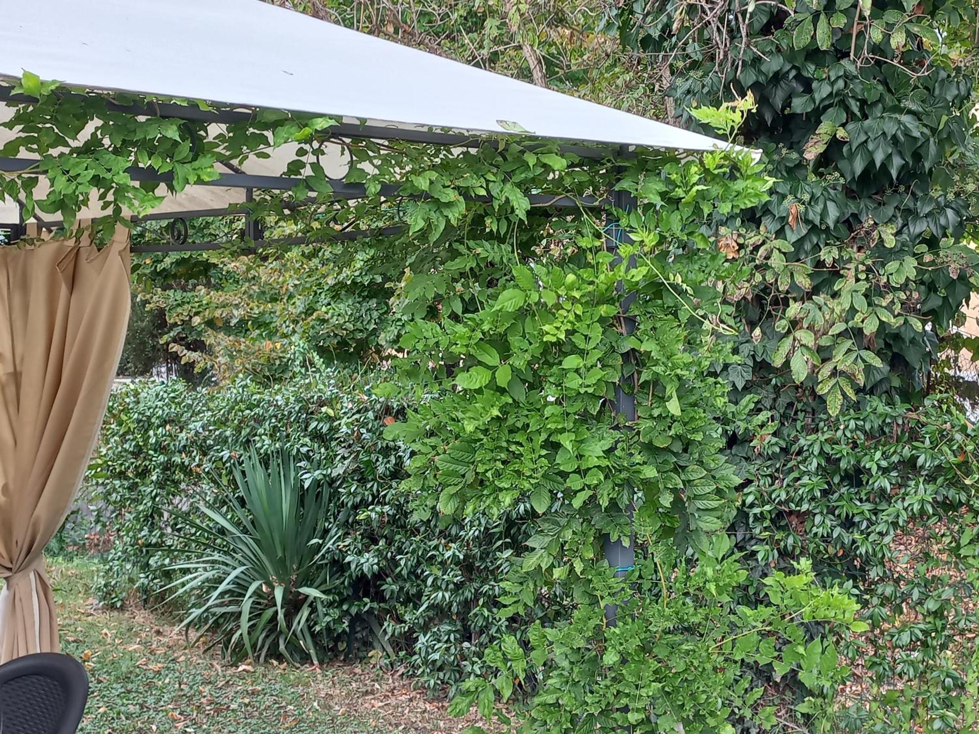 Appartamento Le Magnolie 2 Mestre Exterior photo