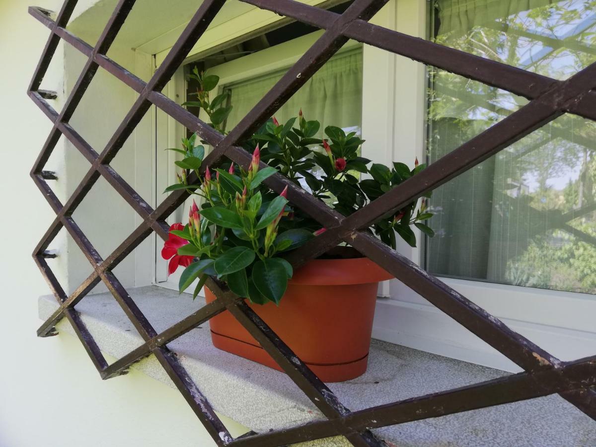 Appartamento Le Magnolie 2 Mestre Exterior photo